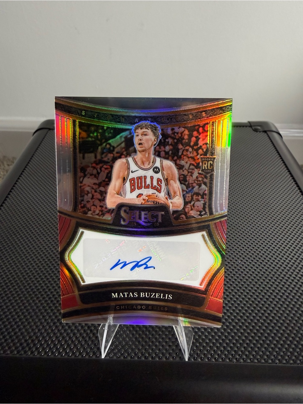 Panini Chicago Bulls Card – Black/Red/Gold Design